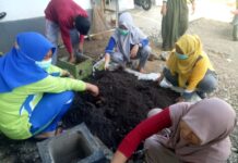 Manfaatkan Pekarangan Kantor, Pokja Desa Selli Kembangkan Tanaman Toga