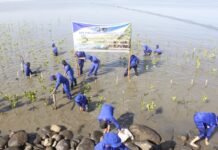 Dit Polairud Polda Sulsel Peduli Lingkungan, Tanam Pohon Mangrove di Wilayah Pesisir Pelabuhan Untia