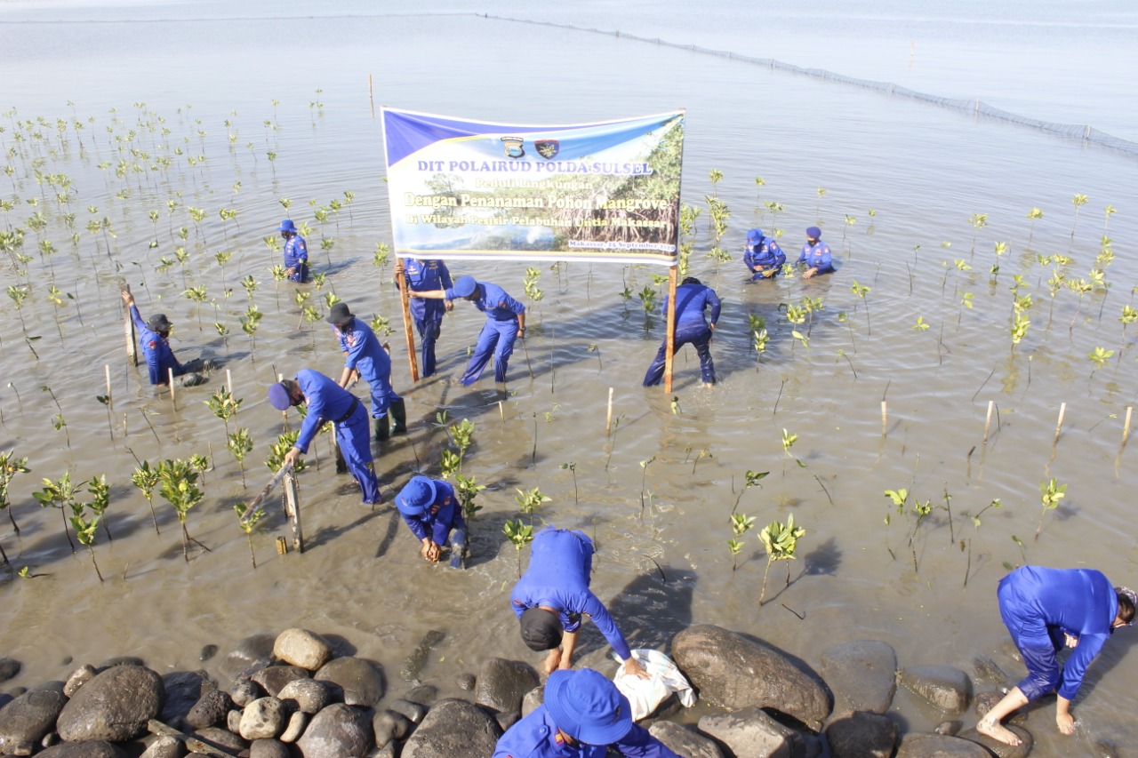 Dit Polairud Polda Sulsel Peduli Lingkungan, Tanam Pohon Mangrove di Wilayah Pesisir Pelabuhan Untia