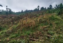 Ketua Tim PSR Pusat Tegaskan Lahan Kosong Tidak Boleh Masuk PSRÂ