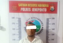 Diduga Pengedar Sabu, Oknum PNS Dibekuk Opsnal Sat Narkoba Polres Jeneponto