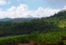 PT Vale Raih Dua Penghargaan di Minerba Award 2020