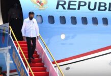 Jokowi Tinjau Panen Tebu dan Resmikan Pabrik Gula Serta Jembatan di Sultra