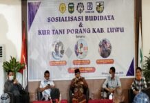 Wakil Ketua DPRD Sulsel Motivasi Petani Luwu Untuk Budidayakan Tanaman Porang