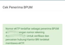 Antara BPUM dan Kredit Bank, Masyarakat Dapat Apa ?Â