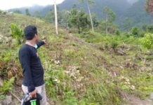 Terkuak Lagi ! 28 Hektare Lahan Diduga Kosong Masuk PSR Usulan Koperasi KAMU