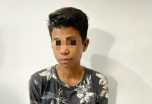 Pelaku Penikaman IRT di Tolangi Luwu Utara Ditangkap Polisi