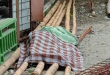 Warga Majene Tewas Tersengat Listrik di Luwu Utara