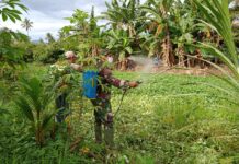 Bersama Warga Binaan, Serda Dediman Lakukan Penyemprotan Rumput di Sepanjang Pinggir Sungai