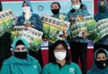 681 Kelompok Dasawisma se-Kababupaten Luwu Terima Penghargaan Peringatan HKG PKK ke-48