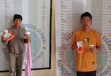 Polisi Amankan Dua Terduga Pengedar Tembakau Gorila di Luwu Timur