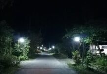 Terangi Kampung, Pemdes Cendana Hitam Timur Pasang Lampu Jalan