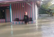 Luapan Sungai Masamba, Desa Girikusuma Luwu Utara Terendam Banjir