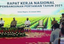 Jokowi Dorong Kementan Tingkatkan Produksi Pertanian Nasional