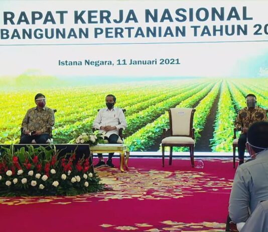 Jokowi Dorong Kementan Tingkatkan Produksi Pertanian Nasional