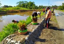Perindah Lingkungan, Pemdes Sindu Agung Buat Pot Terbuat Dari Ban Bekas