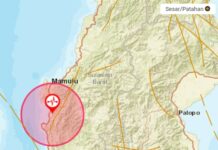 Gempa Bumi 5.9 SR di Sulbar, Terasa Hingga di Luwu Raya