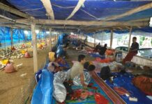 Kurangnya Bantuan Tenda dan Makanan, Warga Desa Maliaya Tinggal di Kandang Ayam