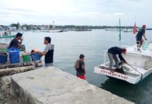 Empat Hari Tak Melaut, Nelayan Majene Kota Mulai Mencari Ikan