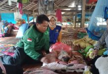ISNU Luwu Timur Kunjungi Bayi Yang Mengungsi di Kandang Ayam