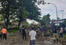 Antisipasi Pohon Tumbang, Pemdes Lampenai Lakukan Penebangan
