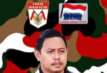 Punya Kemampuan Besarkan Organisasi, Pengusaha Muda Rikardi Nahkodai LMP Luwu Utara