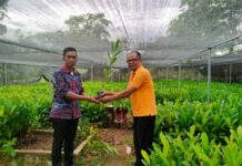 Ribuan Bantuan Bibit Produktif Dinas Kehutanan Bone Mulai Didistribusikan