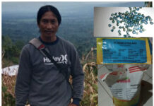 Diduga Bantuan Benih Jagung Diperjual Belikan di Bone, Pemasok Sebut Banyak Jaringan !