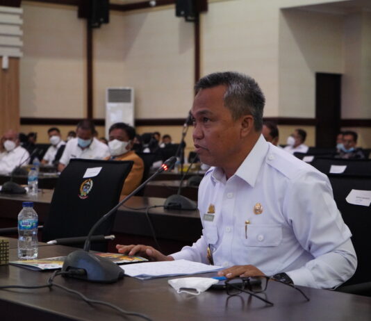 Wabup Budiman Ikuti Sosialisasi KASN Terkait Pengisian JPT