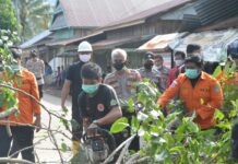 Polres Luwu Timur Bersama BPBD Luwu Timur Sigap Lakukan Evakuasi Pohon Tumbang