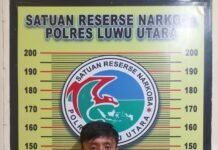 Miliki Shabu, Warga Lutim Berhasil Diamankan Satres Narkoba Polres Luwu Utara