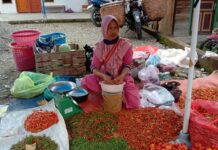 Harga Cabai Naik, Petani Senang Pembeli Ngeluh