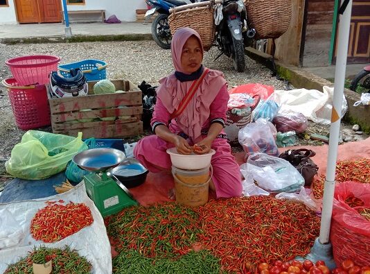 Harga Cabai Naik, Petani Senang Pembeli Ngeluh