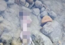 Bayi Tak Bernyawa Ditemukan Mengapung di Sungai Meli Luwu Utara