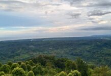 Pulihkan Lingkungan, PT Vale Rehabilitasi Lahan Lintas Batas 13 Kabupaten