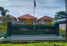 Berikut Jumlah Bantuan Benih Padi dan Jagung Tahun 2021 di Luwu Timur