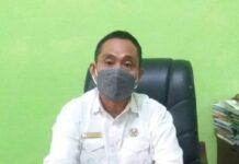 Penerimaan CPNS dan PPPK di Luwu Utara Tahun 2021 Segera Dibuka, Segini Kuota Dibutuhkan !