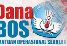 Berikut Jumlah Dana BOS SD TA. 2020 di Luwu Timur, SDN 264 Wawondula Paling Banyak !