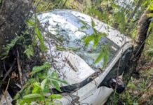 Mau ke Pasar Sorowako, Mobil Avanza Nyungsep dan Tabrak Pohon