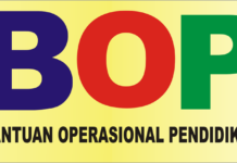 Dana BOP PAUD Kabupaten Pinrang Diduga Disunat, Ketua IGTKI Sebut Itu Tidak Benar !