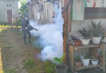 Cegah Penyebaran DBD, Dinkes Lutim Gencar Lakukan Fogging