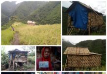 30 Tahun Tinggal Dihutan, Janda Miskin di Bone Nafkahi Lima Orang Anak dan Kakek Sebatang Kara
