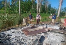 Ditinggal Pemilik, Rumah Panggung di Bengo Rata Dengan Tanah Diamuk Si Jago Merah