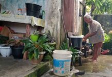 47 Tahun Menderita, Subiati : Begini Kronologi Pengambilan Lahan SDN Pombuntang Oleh Pemda Luwu Utara