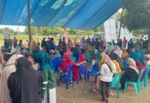 Dari Data Satgas Covid-19, 2.733 Warga Luwu Utara Melakukan Vaksin Massal