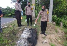 Kabid Humas Polda Sulsel : Polisi Selidiki Penemuan Mayat Terbakar di MarosÂ