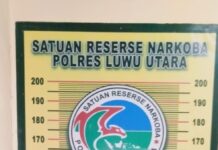 Bandar Obat Daftar G Diamankan Satres Narkoba Polres Luwu Utara