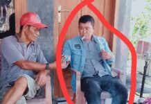 Waspada Penipu ! Modus Tawarkan Ikan, Pelaku Incar Pedagang