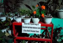 Peduli Korban Kebakaran di Tomoni, Pemdes Sindu Agung Bazar Bunga