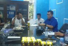 DPD PAN Buka Pendaftaran Ketua DPC se-Kabupaten Luwu Utara Periode 2021-2025